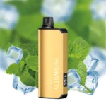 Cool Mint Alibarbar INGOT 20000 Vape