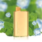 Mint Breeze Alibarbar Rich 8000 Vape